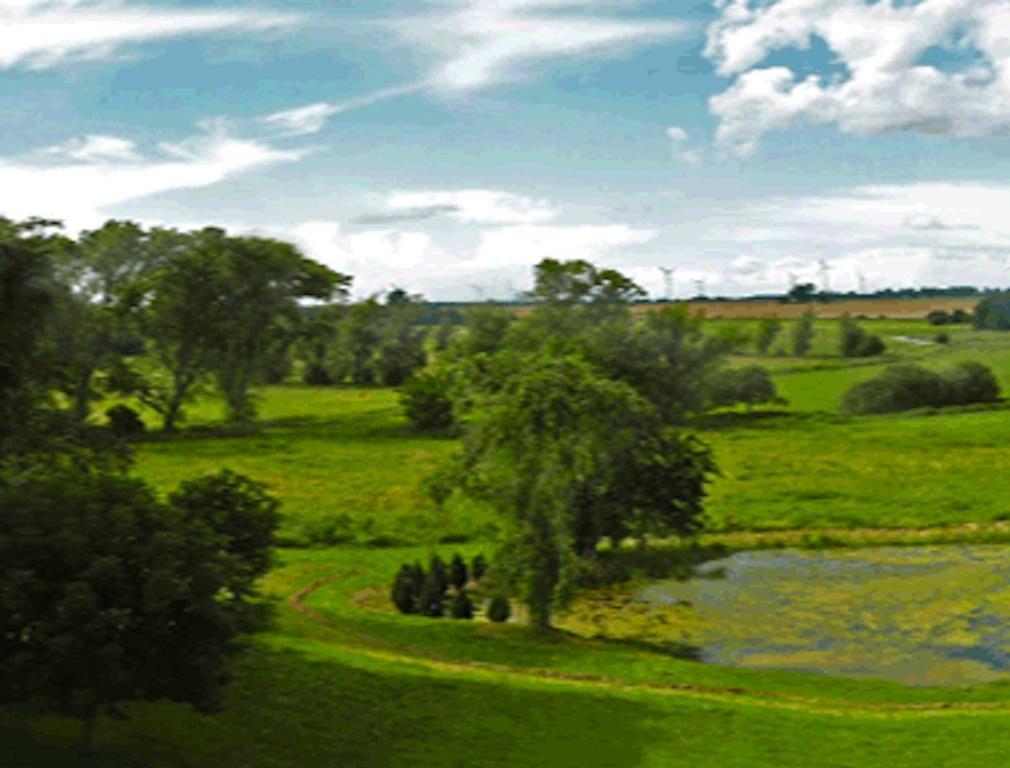 Landhotel Gut Zarrentin Gransebieth الغرفة الصورة